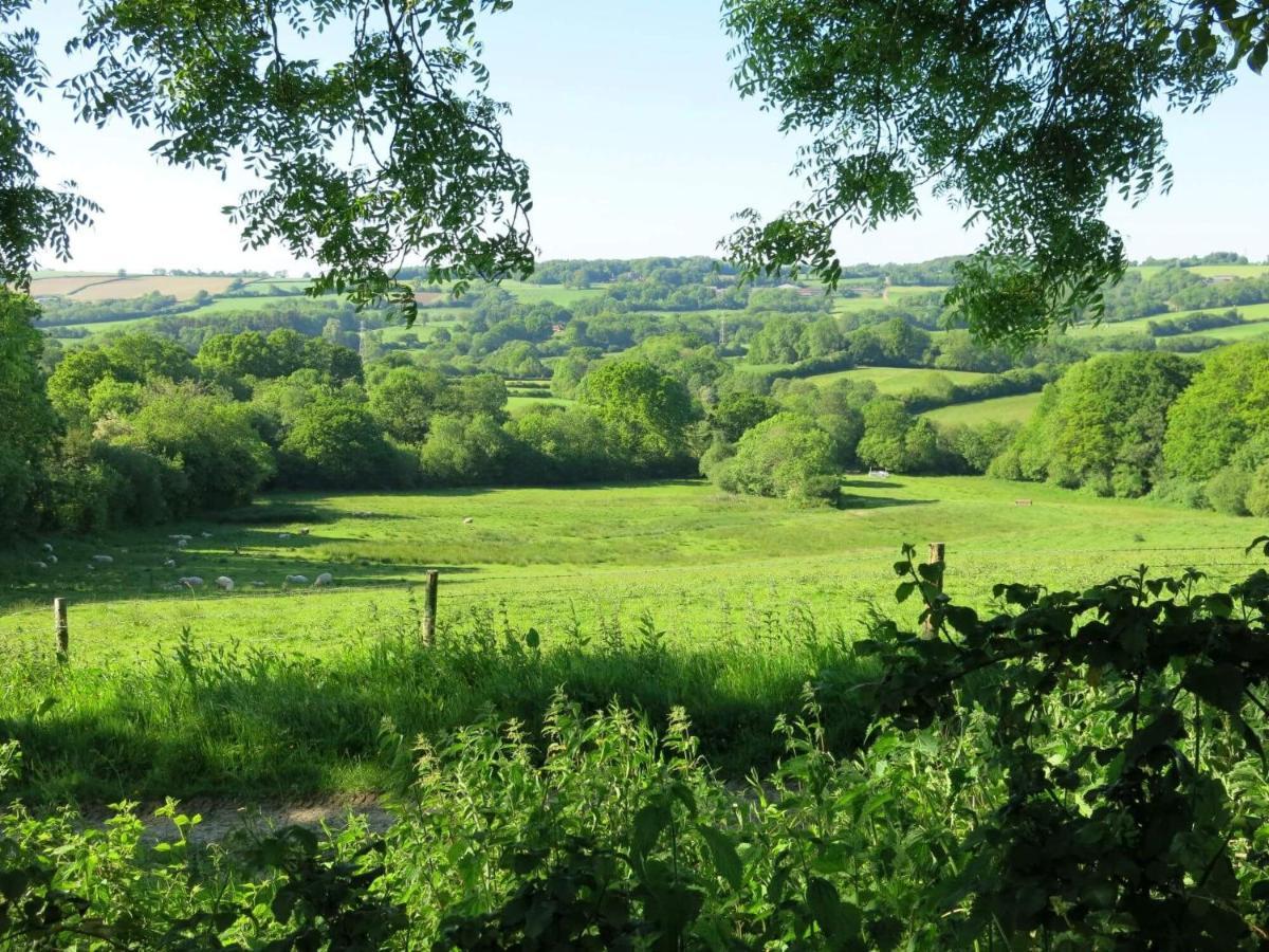 Meadow Barn Villa Axminster Bagian luar foto
