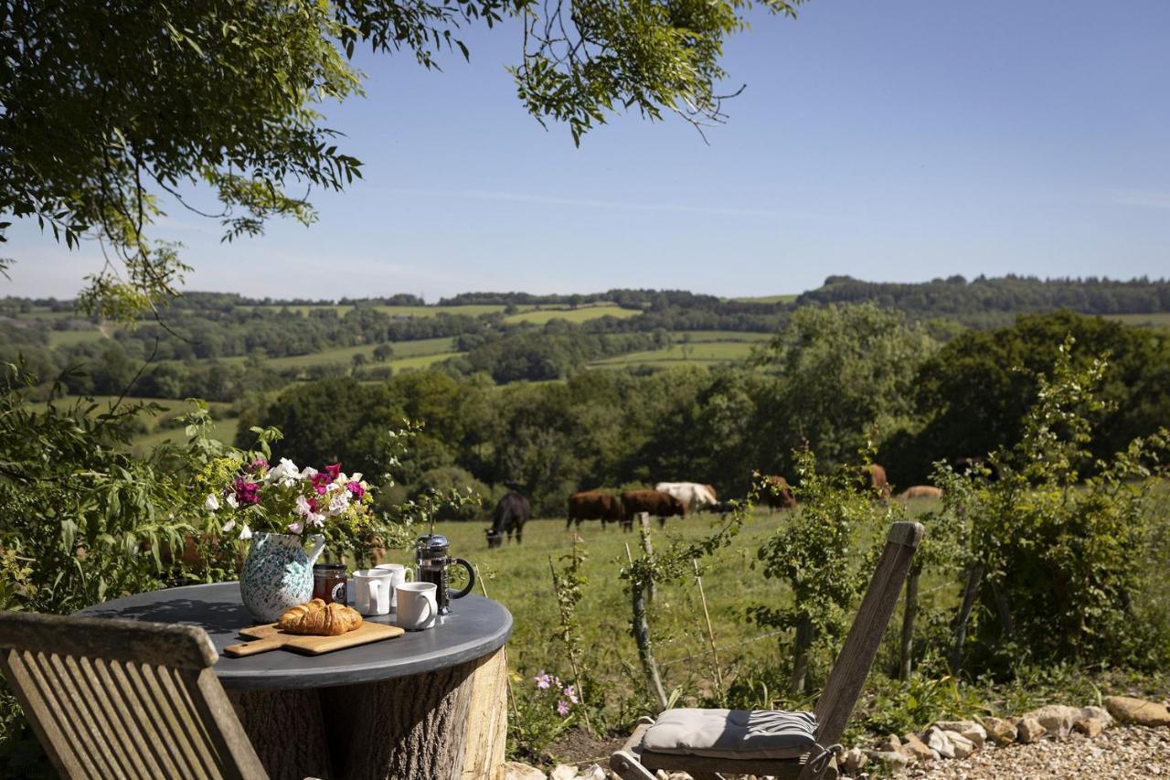 Meadow Barn Villa Axminster Bagian luar foto